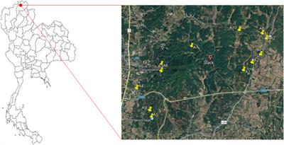 Assessing the impact of a waste incinerator on the environment using the MAIAC-AOD and AERMOD models